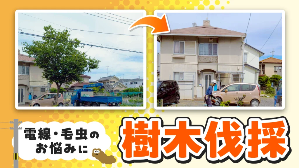 2026年5月｜久喜市　樹木伐採（戸建て）サムネイル