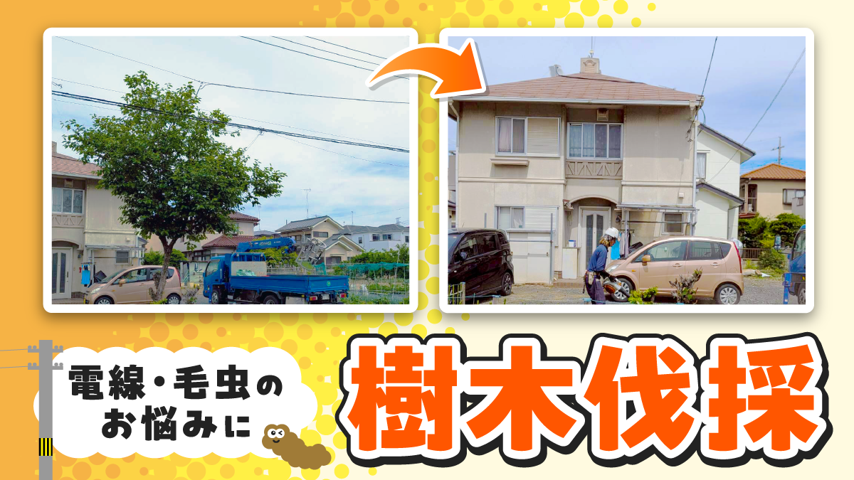 2026年5月|久喜市 樹木伐採(戸建て)サムネイル